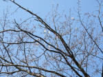 1709_703s200326.jpg