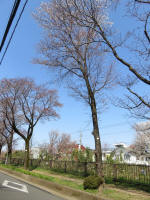1711_705s200326.jpg