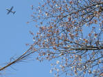 1712_705s200326.jpg