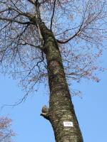 1713_705s200326.jpg
