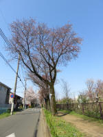 1714_708s200326.jpg