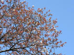 1715_708s200326.jpg