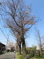 1717_710s200326.jpg