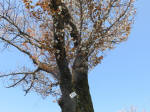 1722_712s200326.jpg