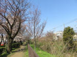 1723_s32s200326.jpg
