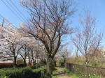 1726_716s200326.jpg
