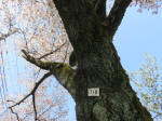1731_718s200326.jpg