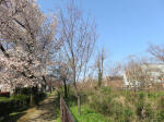 1732_s31s200326.jpg
