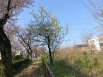 1735_719s200326.jpg