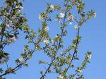 1736_719s200326.jpg