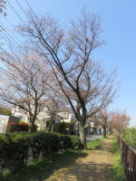 1738_721s200326.jpg