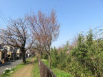 1741_s21s200326.jpg
