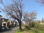 1744_726s200326.jpg
