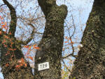 1746_726s200326.jpg