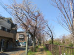 1753_733s200326.jpg