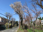 1762_674s200402.jpg