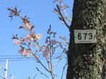 1763_673s200402.jpg