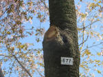 1768_677s200402.jpg