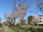 1769_s1s200402.jpg