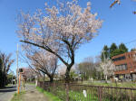 1771_680s200402.jpg