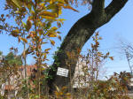 1772_680s200402.jpg