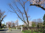 1775_682s200402.jpg