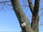 1776_682s200402.jpg