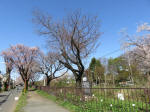 1779_686s200402.jpg
