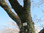 1780_686s200402.jpg