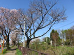1781_690s200402.jpg