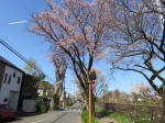 1783_691s200402.jpg