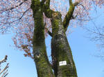 1784_691s200402.jpg
