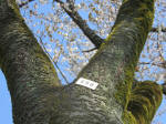 1788_698s200402.jpg