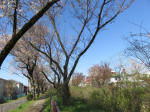 1789_699s200402.jpg