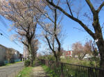 1791_700s200402.jpg