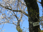 1792_700s200402.jpg