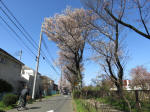 1793_701s200402.jpg