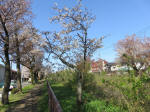 1795_702s200402.jpg