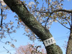 1796_702s200402.jpg