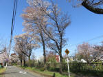 1797_703s200402.jpg