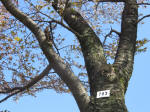 1798_703s200402.jpg