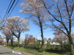 1799_705s200402.jpg