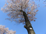 1800_705s200402.jpg