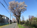 1801_708s200402.jpg