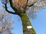 1802_708s200402.jpg
