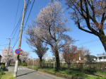 1803_710s200402.jpg
