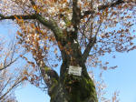 1804_710s200402.jpg