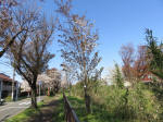 1805_s34s200402.jpg