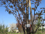 1806_s34s200402.jpg