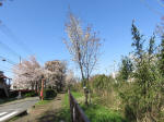 1807_s33s200402.jpg